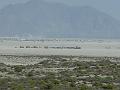 First view of Black Rock City